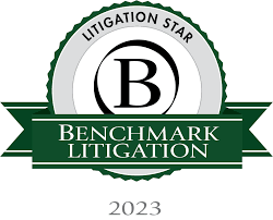 Benchmark litigation 2023